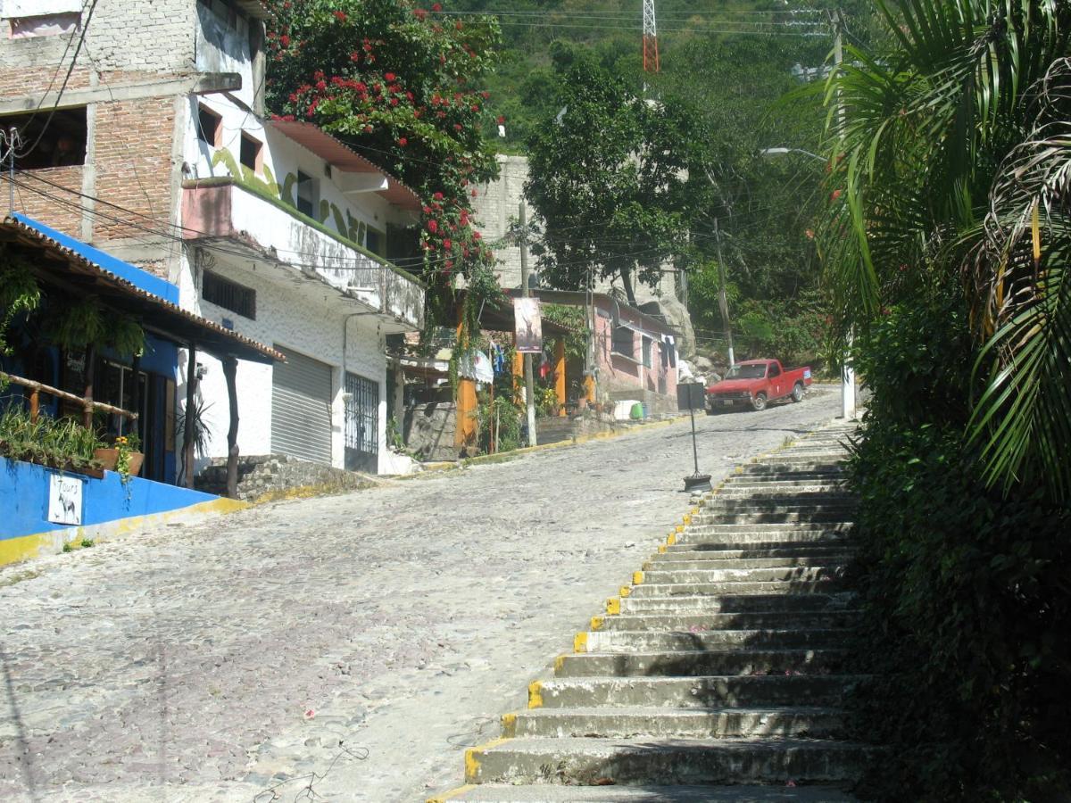 Casa Cereza Apartments Puerto Vallarta Dış mekan fotoğraf