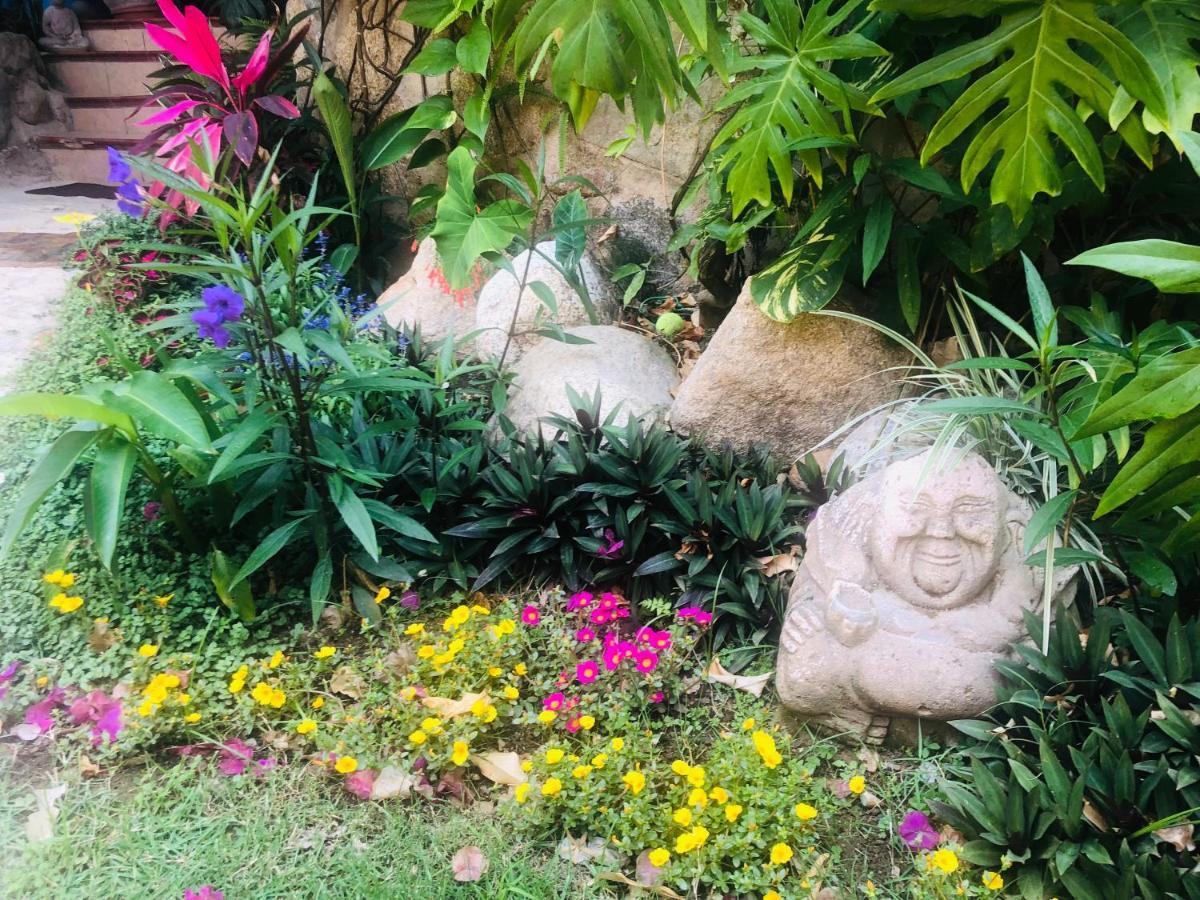 Casa Cereza Apartments Puerto Vallarta Dış mekan fotoğraf