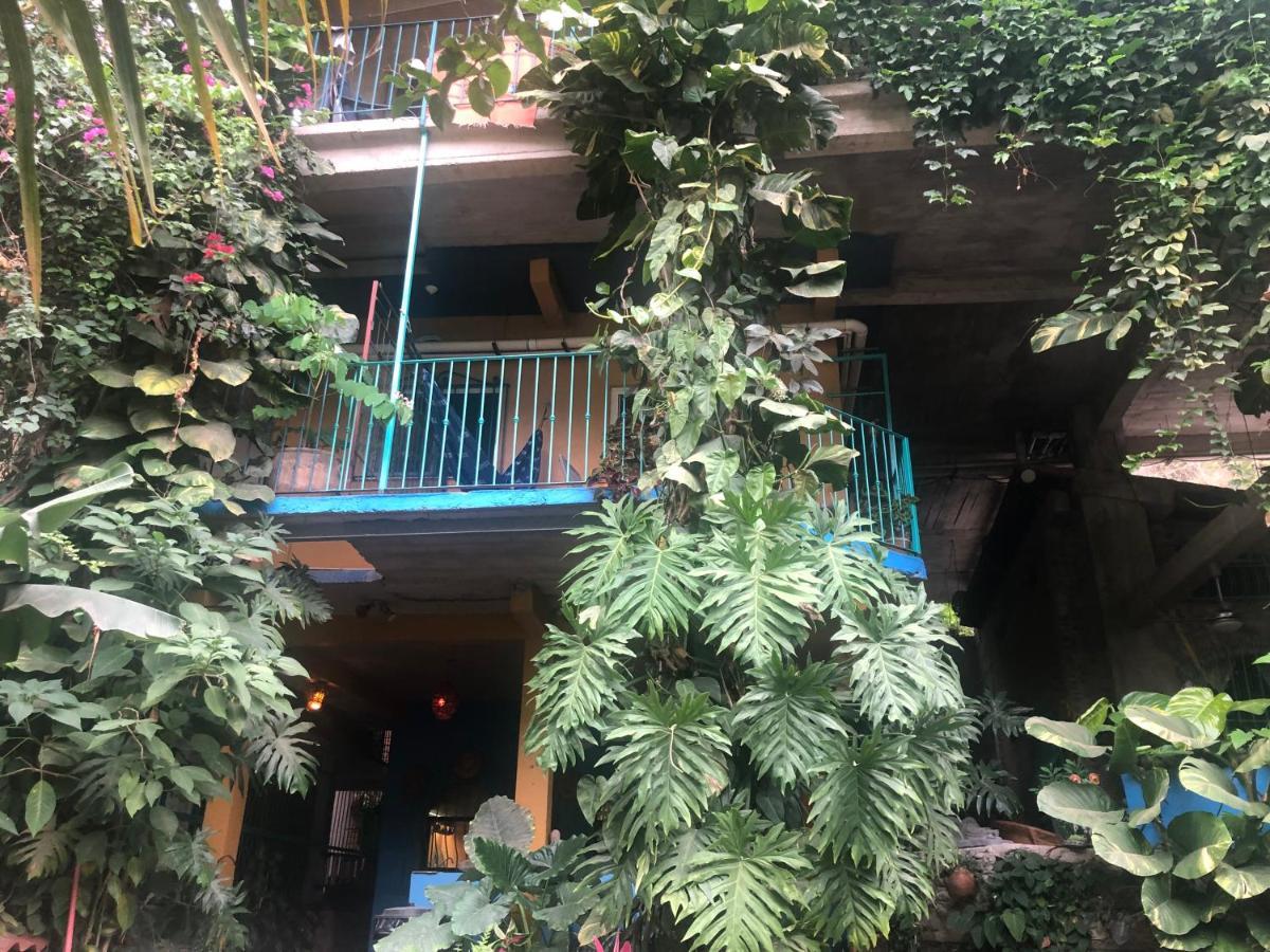 Casa Cereza Apartments Puerto Vallarta Dış mekan fotoğraf