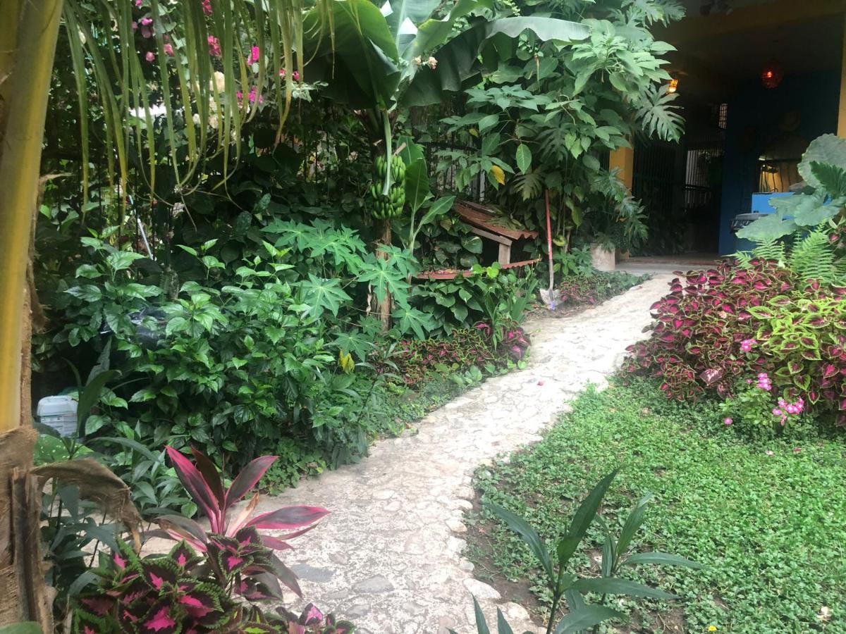 Casa Cereza Apartments Puerto Vallarta Dış mekan fotoğraf